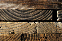 abstract photograph, abstration, wood grain