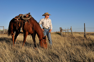 Paul Grice, Western Horseman