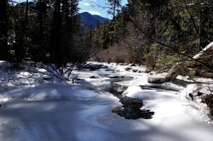 Cimarron Canyon ice