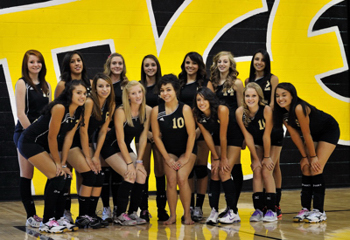 RHS Tiger Volleyball 2011