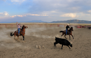 Marcia Hefker & Roy Sanders team roping