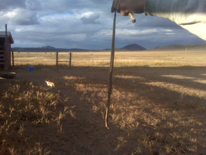 Janice Morrow photography, Capulin NM