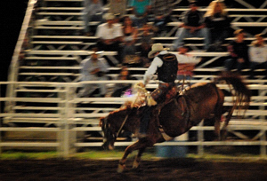 Saddle Bronc Riding at Raton Rodeo, 2011