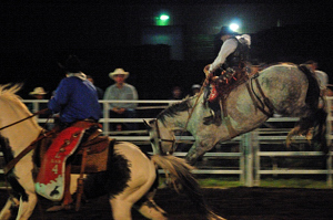 Raton Rodeo Saddle Bronc Riding, 2011