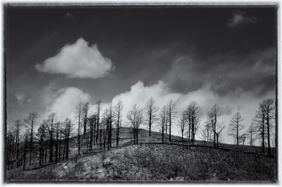 Sugarite Canyon State Park - Track Fire