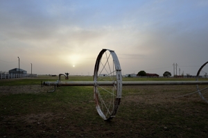 Smith Pasture, Hobbs NM