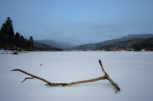 Driftwood on frozen Lake Maloya