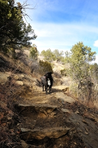 Climax Canyon Nature Trail, Raton NM