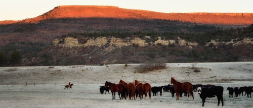 Landon Berry horseback east of Raton