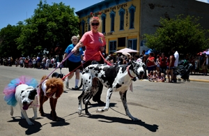 Raton Humane Society in parade, 2015