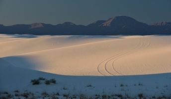 White Sands tire tracks, photo by Tim Keller