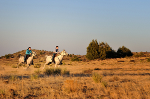 Marcia Hefker and son Cy Brower race Arabian endurance horses, photo by Tim Keller