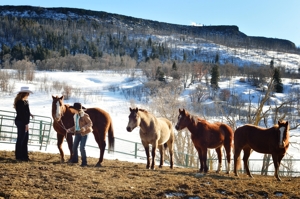Anne Sporleder & Micheli Walton gather horses at Sugarite Canyon Ranch, Dec 2015