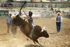 Clay Mattarocci bullrider at Trinidad Round-up Rodeo 2016