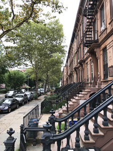 Brooklyn brownstones