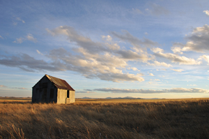 "Distance" by Tim Keller, Johnson Mesa NM