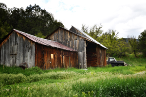 Yankee Canyon barn