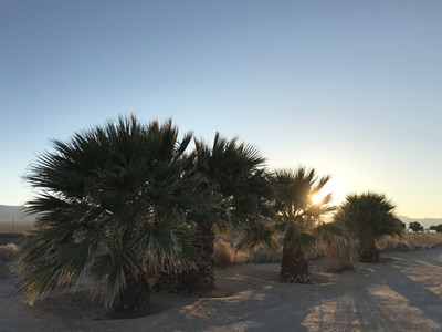 Sunset on the Mojave Desert in California