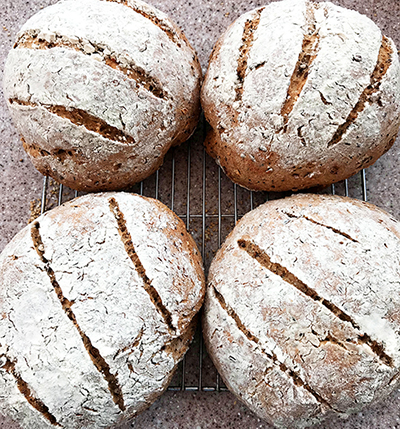 Tim's multi-grain power bread