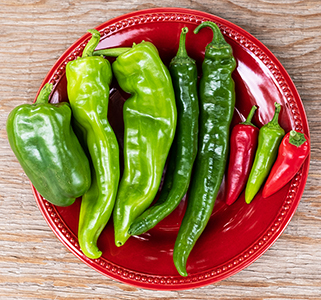 Homegrown New Mexico chiles by Tim Keller, 2018