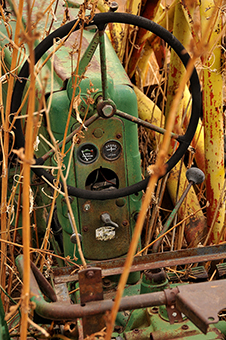 Old tractor in dead cornstalks