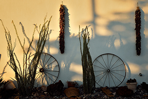 "Old Mesilla" - Tim Keller Photography