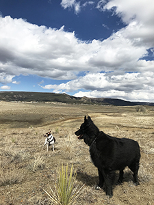 Hiking with dogs, Raton, New Mexico