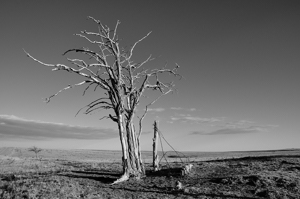 History - landscape photography by Tim Keller