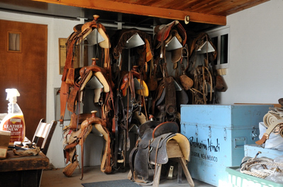 Hindi Saddles