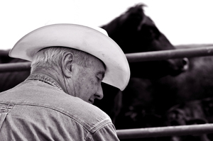 Cowboy, Sumpter branding, Colorado