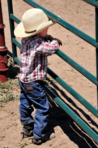 Big Dreams, Little Cowboy