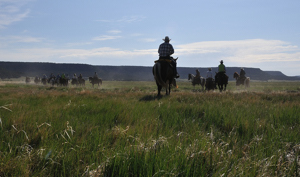 Long Riders, Jeffers, Western Horseman