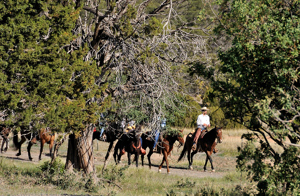 Jeffers Ranch, Long Riders