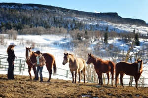 Micheli Walton & Anne Sporleder, Western Horseman